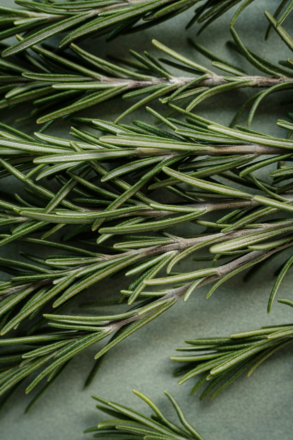 Deep Cleanse Scalp Scrub, Rosemary & Mint