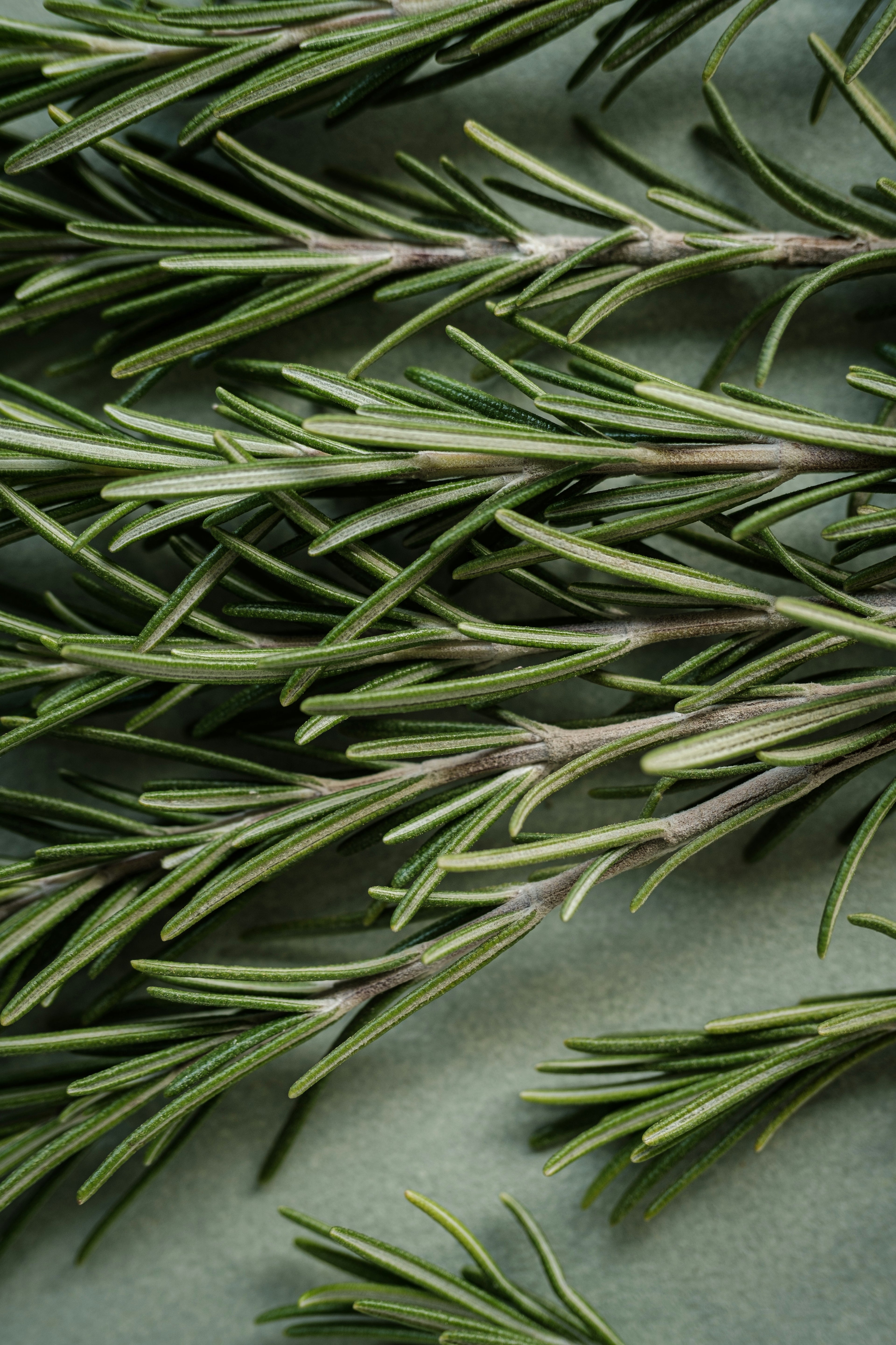 Deep Cleanse Scalp Scrub, Rosemary & Mint