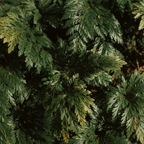 Green foliage - different angle