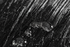 Wet black hair with bubbles